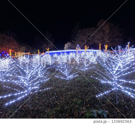 やくらいガーデン星あかり 133692563