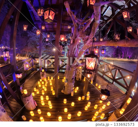 やくらいガーデン星あかり 133692573