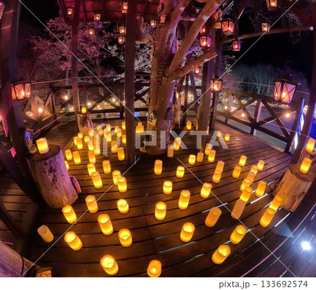 やくらいガーデン星あかり 133692574