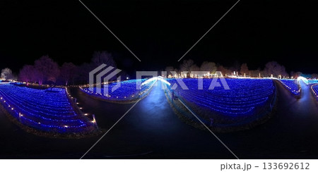 やくらいガーデン星あかり　VR写真 133692612