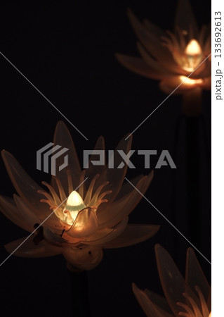 夜に浮かぶ花 133692613