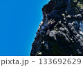 北海道等、日本近海の海でしか見られない赤い顔が特徴の海鳥、チシマウガラス 133692629