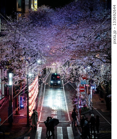 春のライトアップされた夜桜を通るタクシー 春のライトアップされた夜桜を通るタクシー 133692644