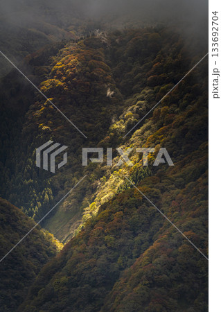 紅葉する山肌に差す光 紅葉する山肌に差す光 133692704
