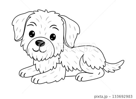Fluffy puppy Slovakian Pointer lying down and resting calmly. Doodle style 133692983