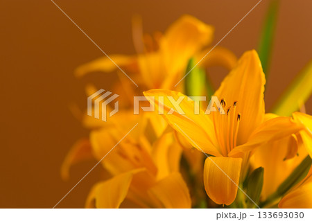 Soft light floral bouquet for Mother Day 133693030