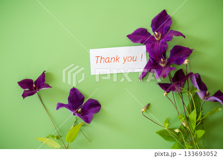 Decorated branch of clematis on bright green background from above Decorated branch of clematis on bright green background from above 133693052