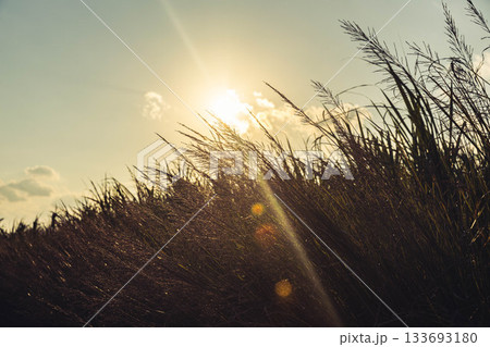 秋の夕暮れ 秋の夕暮れ 133693180