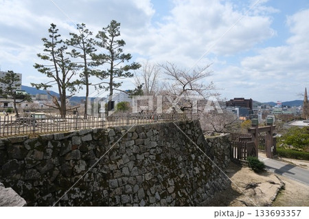 広島県福山市_福山城26_2025年3月 133693357