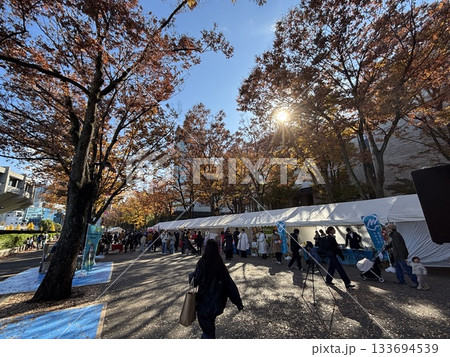 紅葉が見える公園の風景 133694539