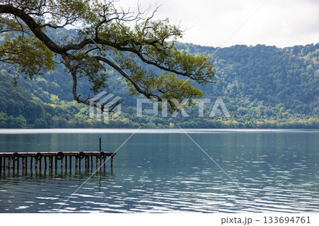 緑深い山々に抱かれた十和田湖と、湖にまっすぐ伸びる桟橋 133694761