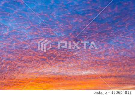 Altocumulus blue, pink, orange clouds at twilight. Texture, background. Altocumulus blue, pink, orange clouds at twilight. Texture, background. 133694818