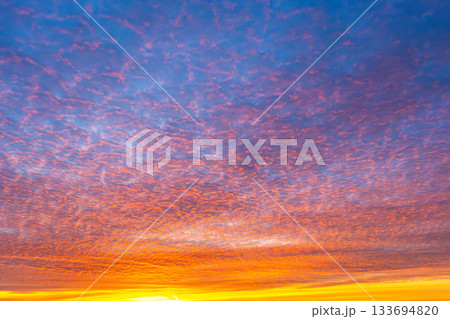 Altocumulus blue, pink, orange clouds at twilight. Texture, background. 133694820