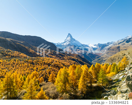 Matterhorn Mountain and Yellow Larches in Autumn. Zermatt, Switzerland 133694821