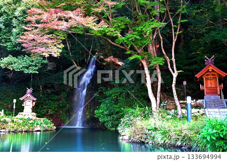 亀の尾の瀧 (出雲大社北島國造館) 亀の尾の瀧 (出雲大社北島國造館) 133694994