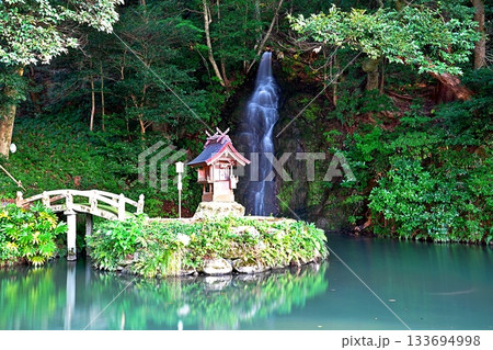 亀の尾の瀧 (出雲大社北島國造館) 亀の尾の瀧 (出雲大社北島國造館) 133694998