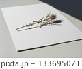 Minimal dried flower branch on white 133695071