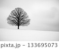Lone Tree on Snowy Hill 133695073