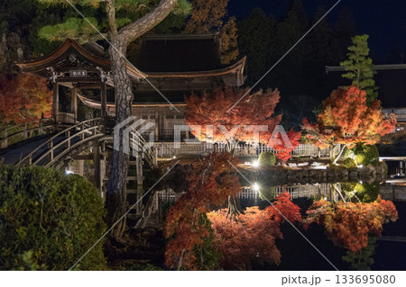 多治見市虎渓山永保寺のライトアップ 多治見市虎渓山永保寺のライトアップ 133695080
