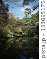 池に映る緑 133695175