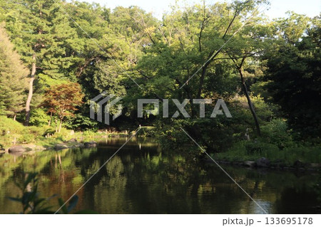 広尾　有栖川宮記念公園 133695178