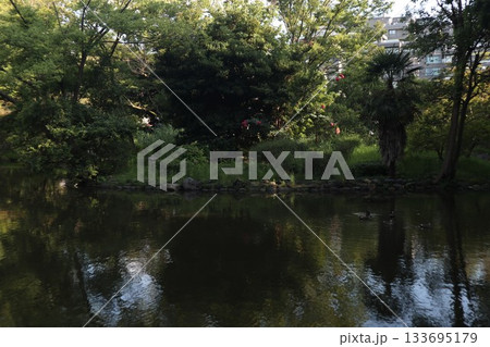 広尾　有栖川宮記念公園 133695179