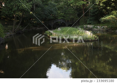 広尾　有栖川宮記念公園 133695180