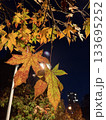ライトアップされた紅葉 133695252