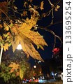 ライトアップされた紅葉 133695254
