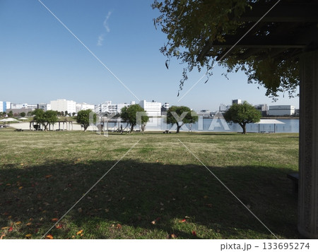 青空の下に広がる大森ふるさとの浜辺公園の芝生広場と砂浜 青空の下に広がる大森ふるさとの浜辺公園の芝生広場と砂浜 133695274