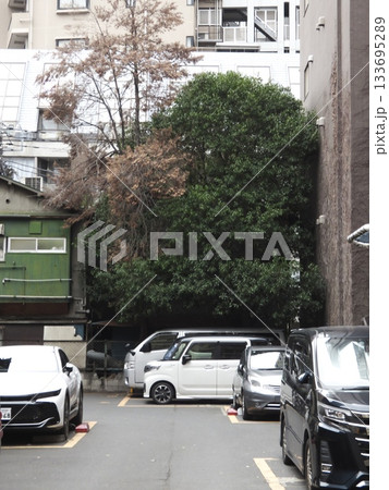 都心のビル裏にある木々に囲まれた混雑したコインパーキング 133695289