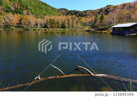 湖の紅葉 133695399