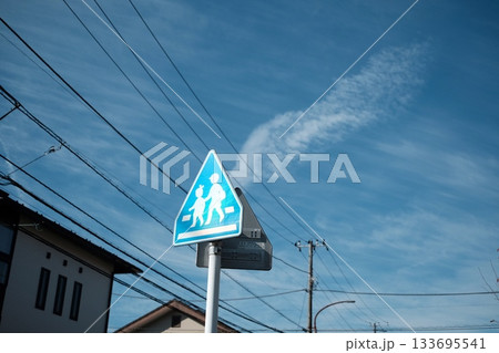 翼のある安全地帯 翼のある安全地帯 133695541