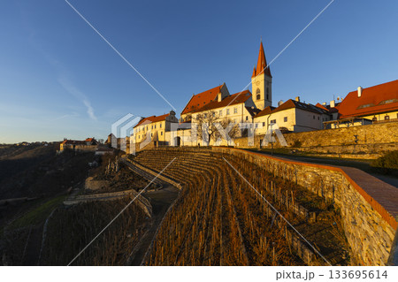 Znojmo old town terraced vineyards at golden hour Znojmo old town terraced vineyards at golden hour 133695614