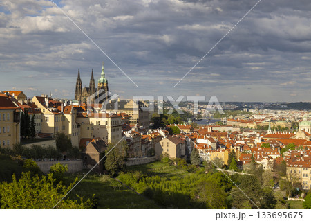 Prague Castle overlooking historic city with red roofs Prague Castle overlooking historic city with red roofs 133695675