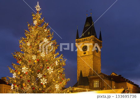 Prague Old Town Square Christmas tree at night Prague Old Town Square Christmas tree at night 133695736