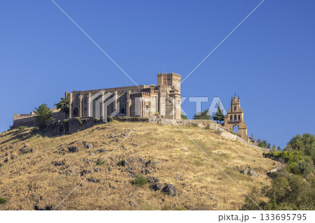 Nuestra Senora del Mayor Dolor church and castle in Aracena 133695795