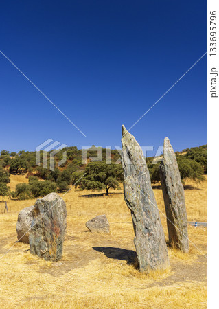 Ancient menhirs standing in Andalucian dry landscape 133695796