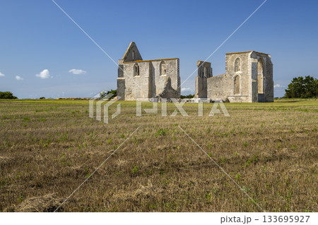 Old abbey ruins standing in dry field under blue sky Old abbey ruins standing in dry field under blue sky 133695927