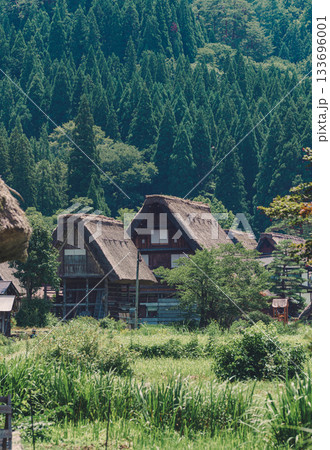 白川郷　合掌造り集落　日本の原風景 133696001