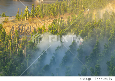 Person spraying grapevines protecting Crozes Hermitage vineyard Person spraying grapevines protecting Crozes Hermitage vineyard 133696015