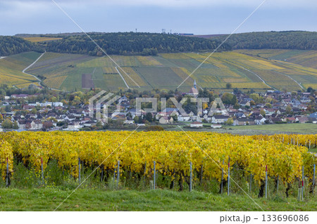 Champagne vineyards and rural village in autumn 133696086