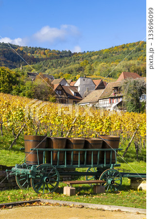Vineyard cart with barrels in an Alsace village 133696099
