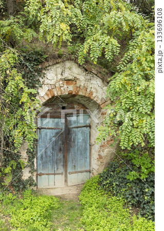 Traditional cellar door surrounded by green foliage in Retzbach Traditional cellar door surrounded by green foliage in Retzbach 133696108