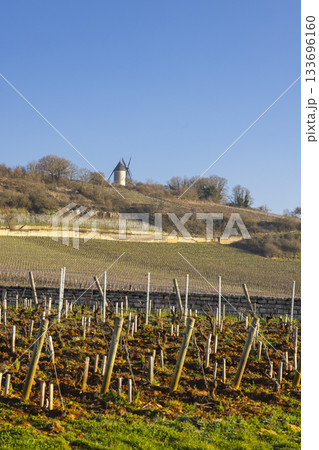 Vineyard landscape with historic Moulin Sorine in Santenay, France 133696160