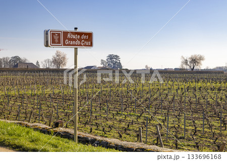 Route des Grands Crus sign in Meursault vineyards Route des Grands Crus sign in Meursault vineyards 133696168