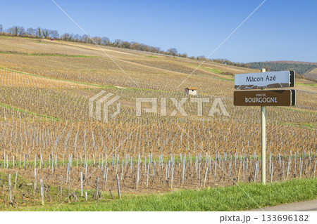 Vineyard landscape with Macon Aze and Bourgogne wine signpost Vineyard landscape with Macon Aze and Bourgogne wine signpost 133696182