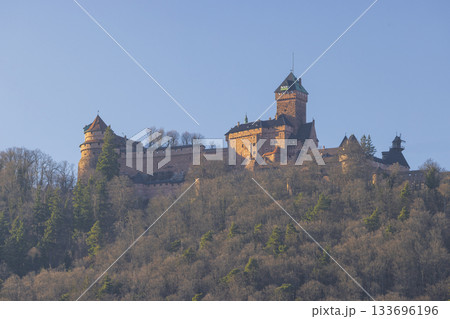 Chateau du Haut Koenigsbourg standing tall on a forested hill Chateau du Haut Koenigsbourg standing tall on a forested hill 133696196