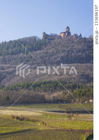 Haut Koenigsbourg Castle overlooking vineyards in Grand Est 133696197