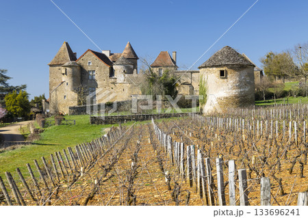 Chateau de Bissy sur Fley with bare vineyard in spring 133696241